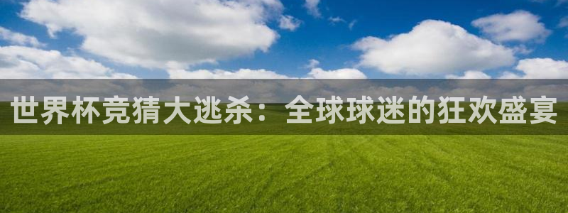 世界杯亚洲区预选赛积分榜:世界杯竞猜大逃杀:全球球迷的狂欢盛宴