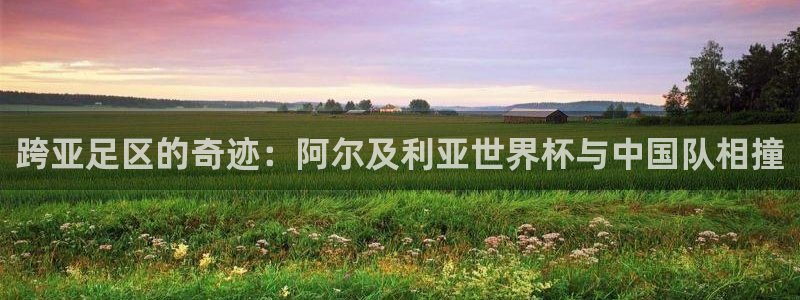 2026世界杯赛程:跨亚足区的奇迹:阿尔及利亚世界杯与中国队相撞