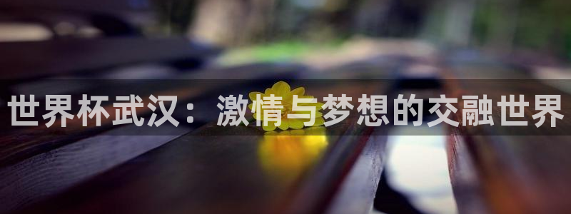 2026世界杯买球:世界杯武汉:激情与梦想的交融世界