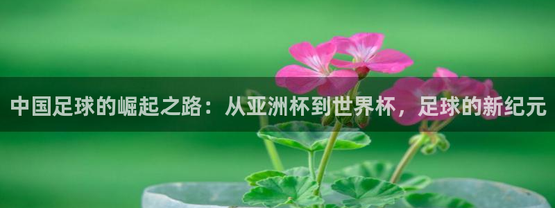 世界杯比赛时间:中国足球的崛起之路:从亚洲杯到世界杯,足球的新纪元