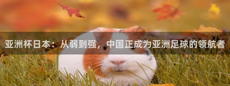 世界杯赛程表:亚洲杯日本:从弱到强,中国正成为亚洲足球的领航者