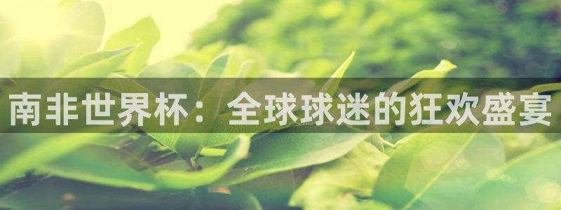 世界杯附加赛赛程表:南非世界杯:全球球迷的狂欢盛宴