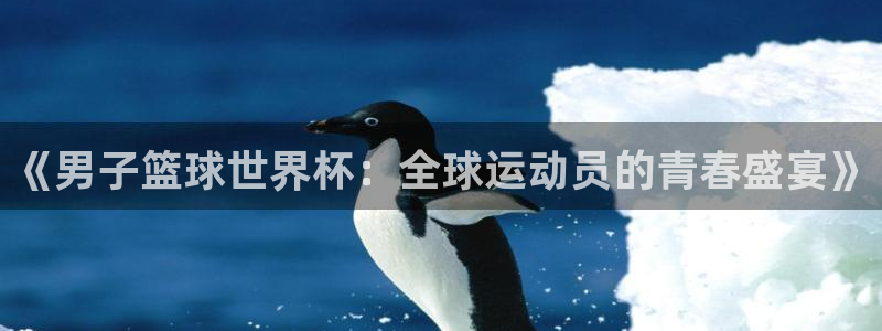 法国杯2026赛程表:《男子篮球世界杯:全球运动员的青春盛宴》