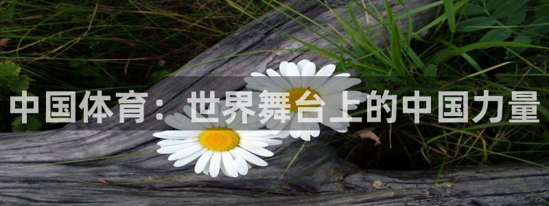 2026世界杯中国队:中国体育:世界舞台上的中国力量