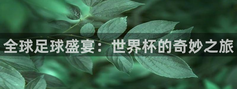 世界杯48支球队赛制:全球足球盛宴:世界杯的奇妙之旅